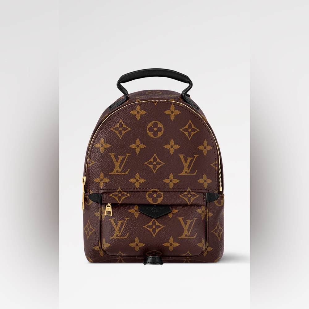 Louis Vuitton Monogram Mini Backpack